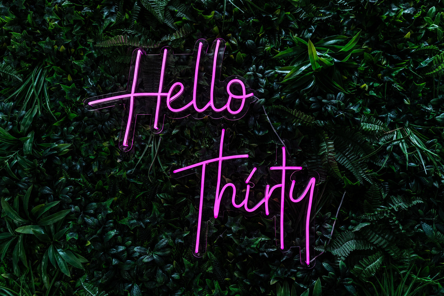 Hello Neon Sign