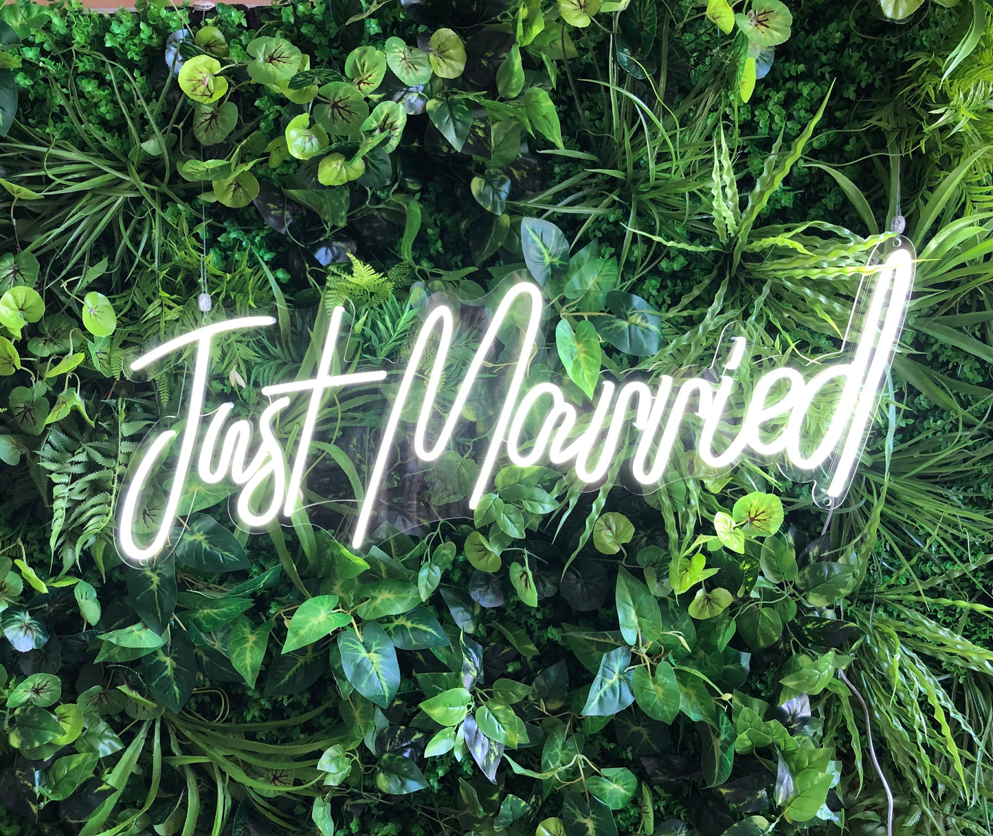 Just Married Neon Sign