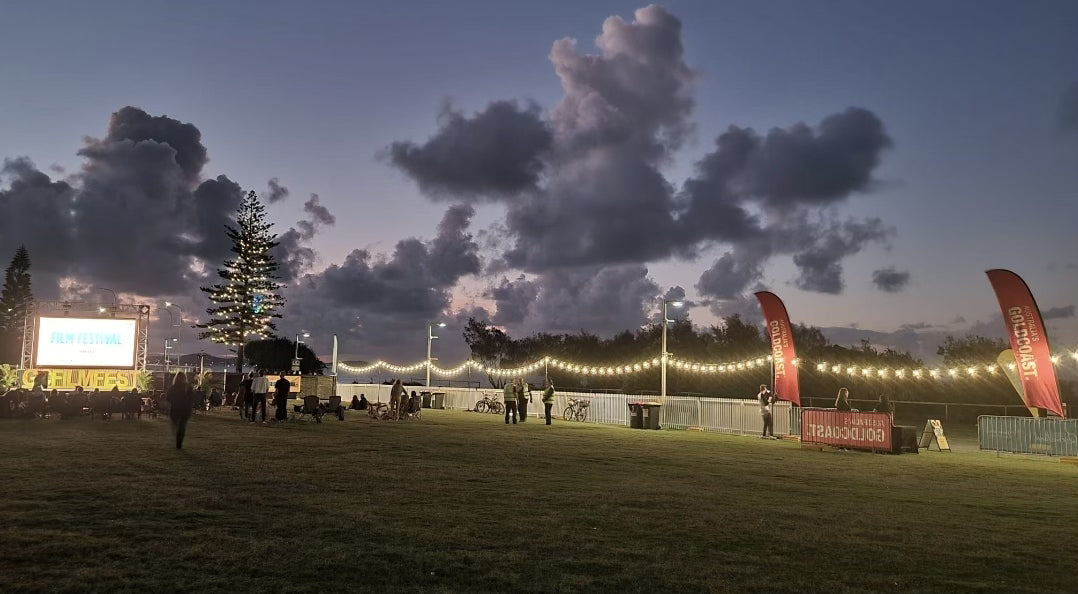 Festoon Lights
