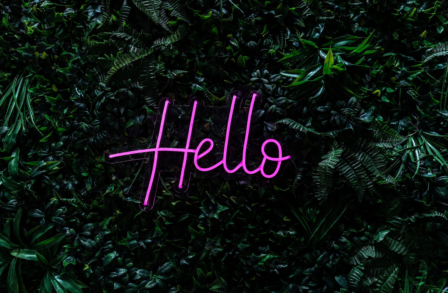 Hello Neon Sign
