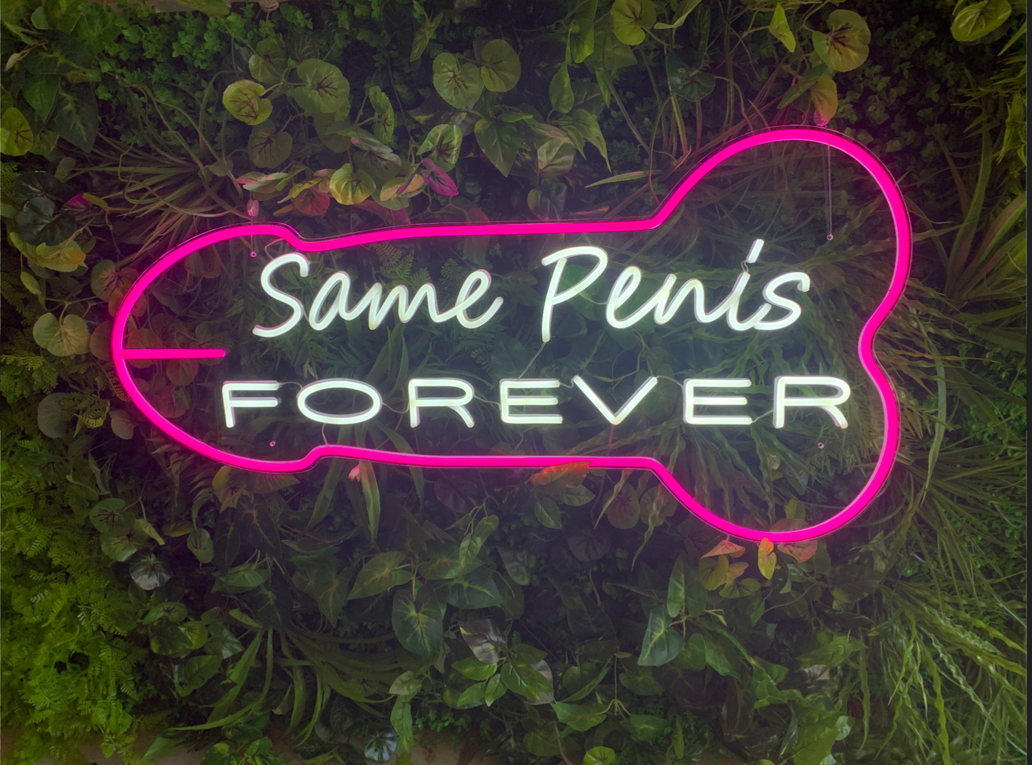 Same P*nis Forever Neon Sign