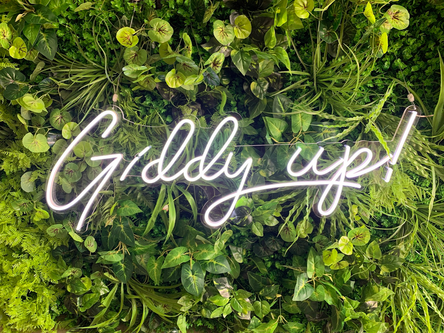 Giddy Up Neon Sign